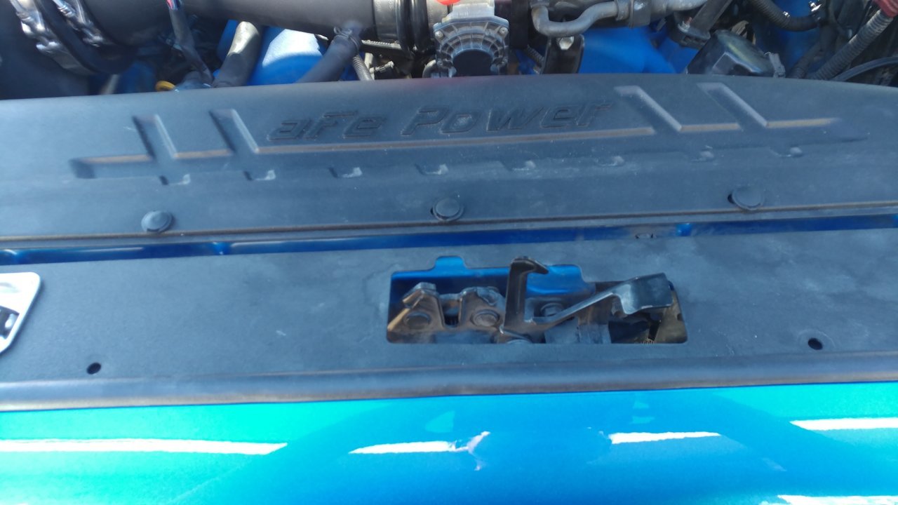20201029_160202.jpg