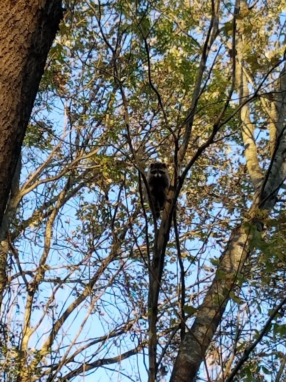 20201030_170917.jpg