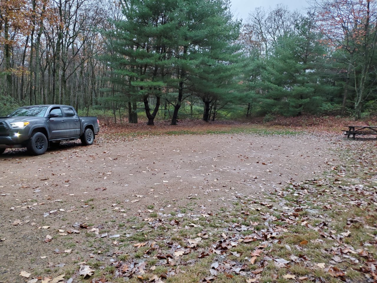 20201030_180001.jpg
