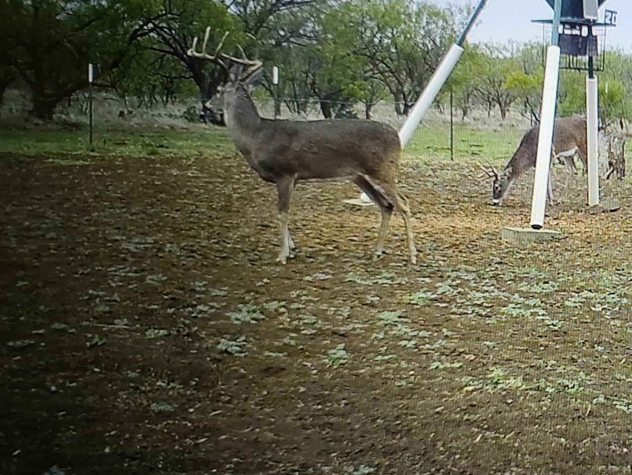 20201031_150950.jpg