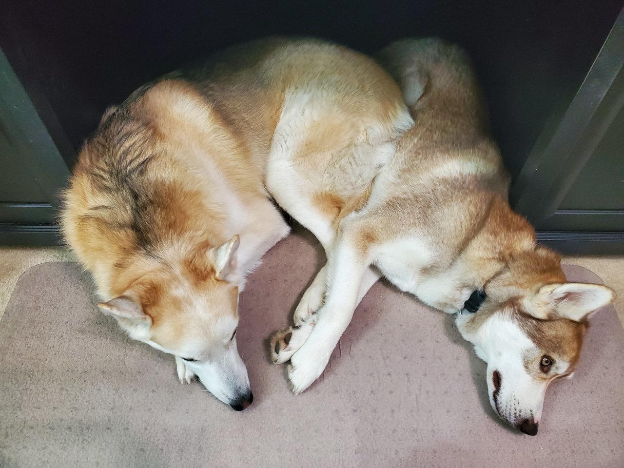 20201031_152813.jpg