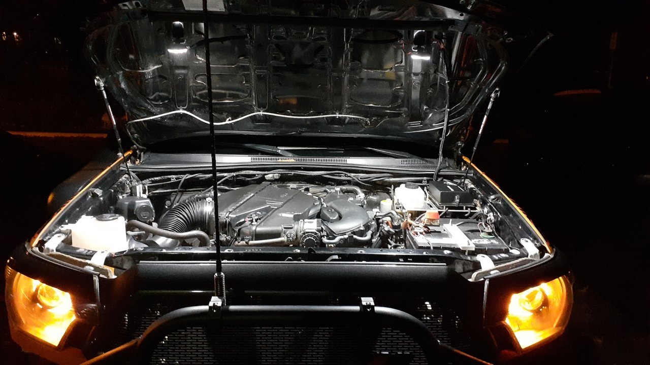 20201031_191235.jpg