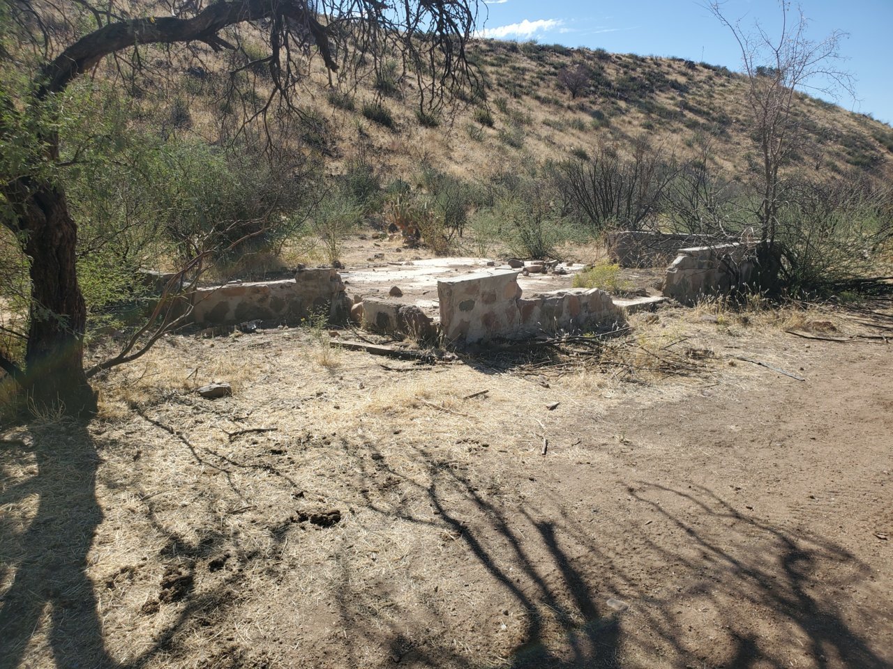 20201101_115327.jpg