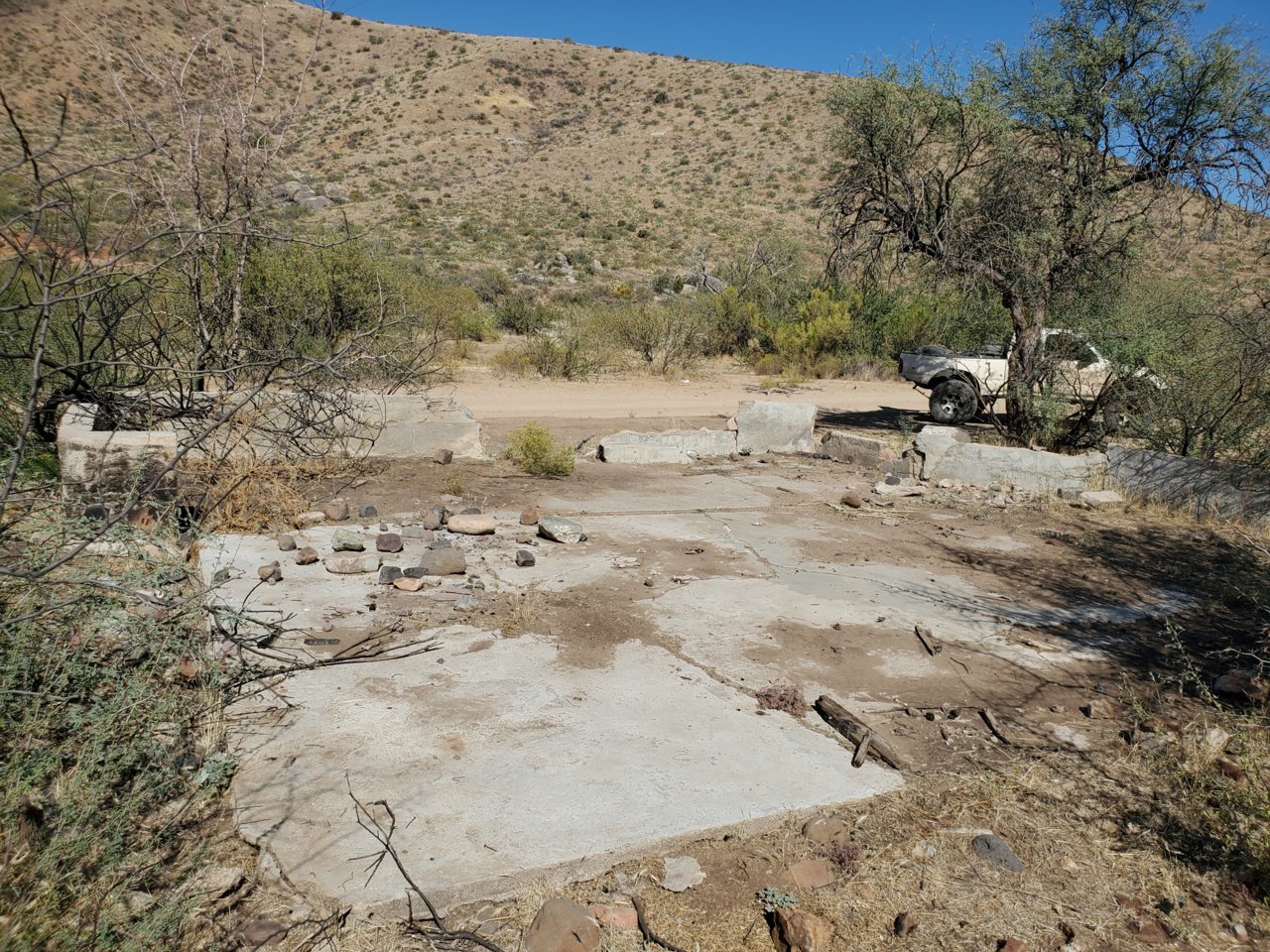 20201101_115356.jpg
