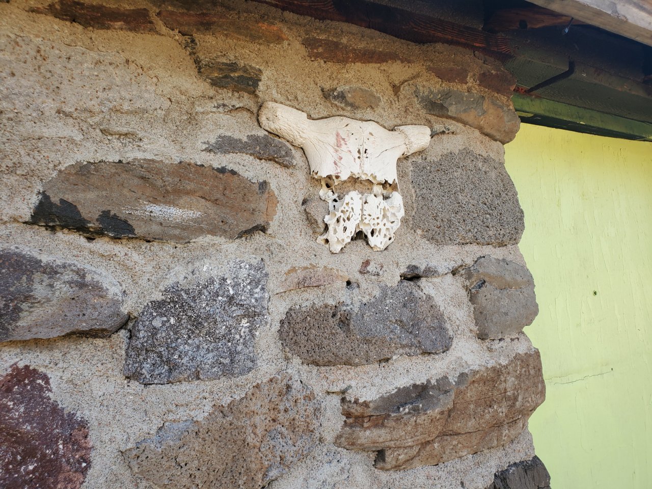 20201101_141249.jpg