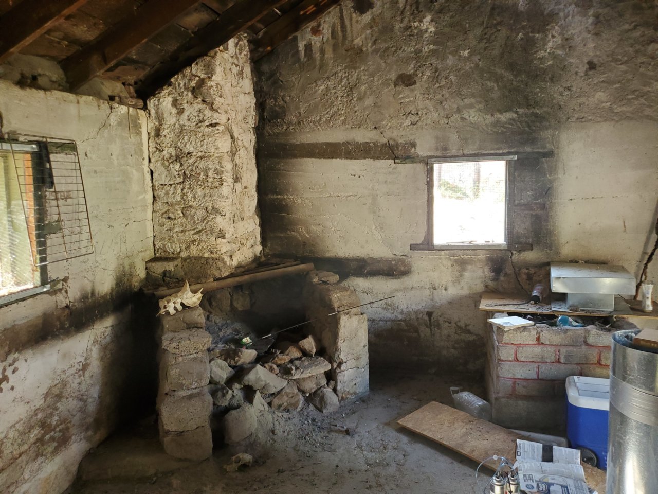 20201101_141347.jpg
