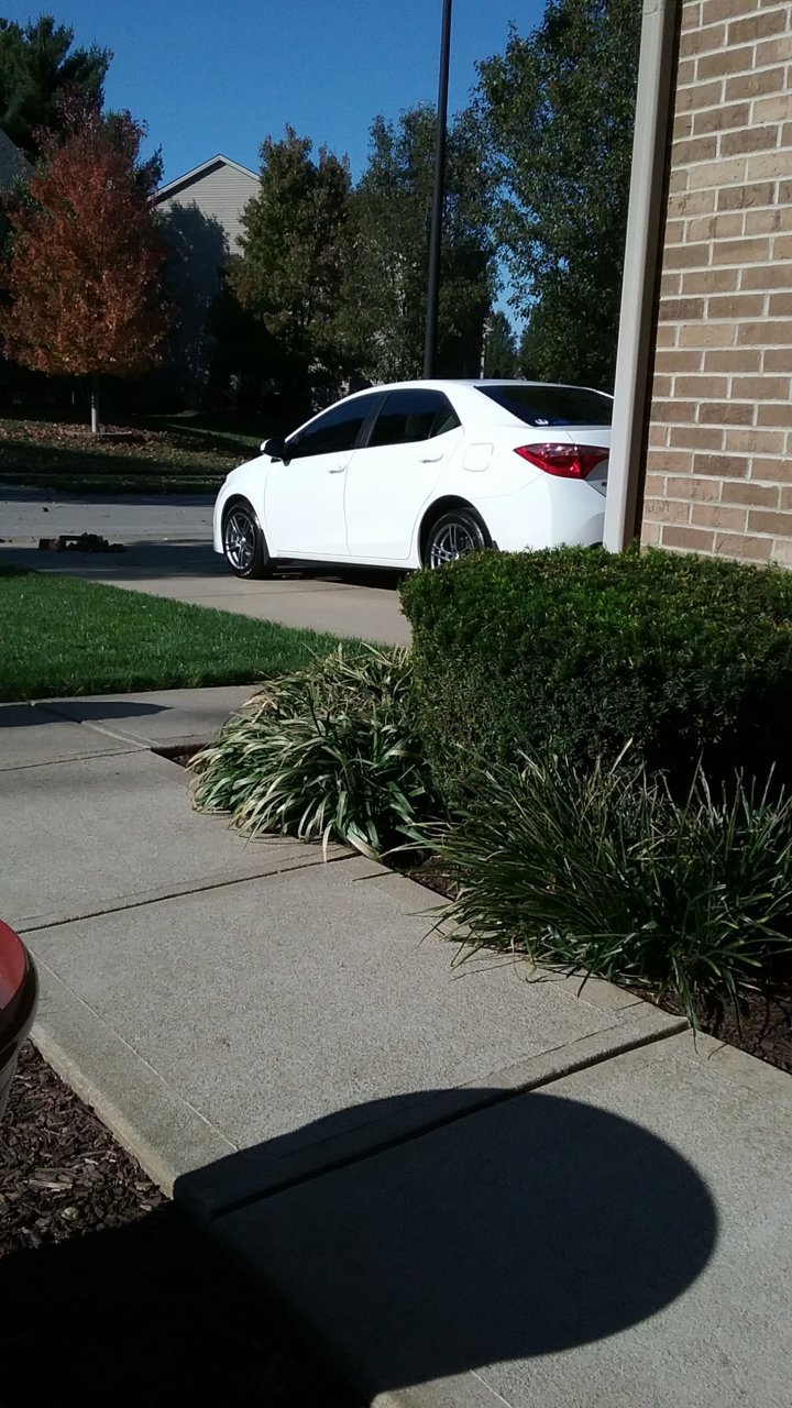 20201101_144425.jpg