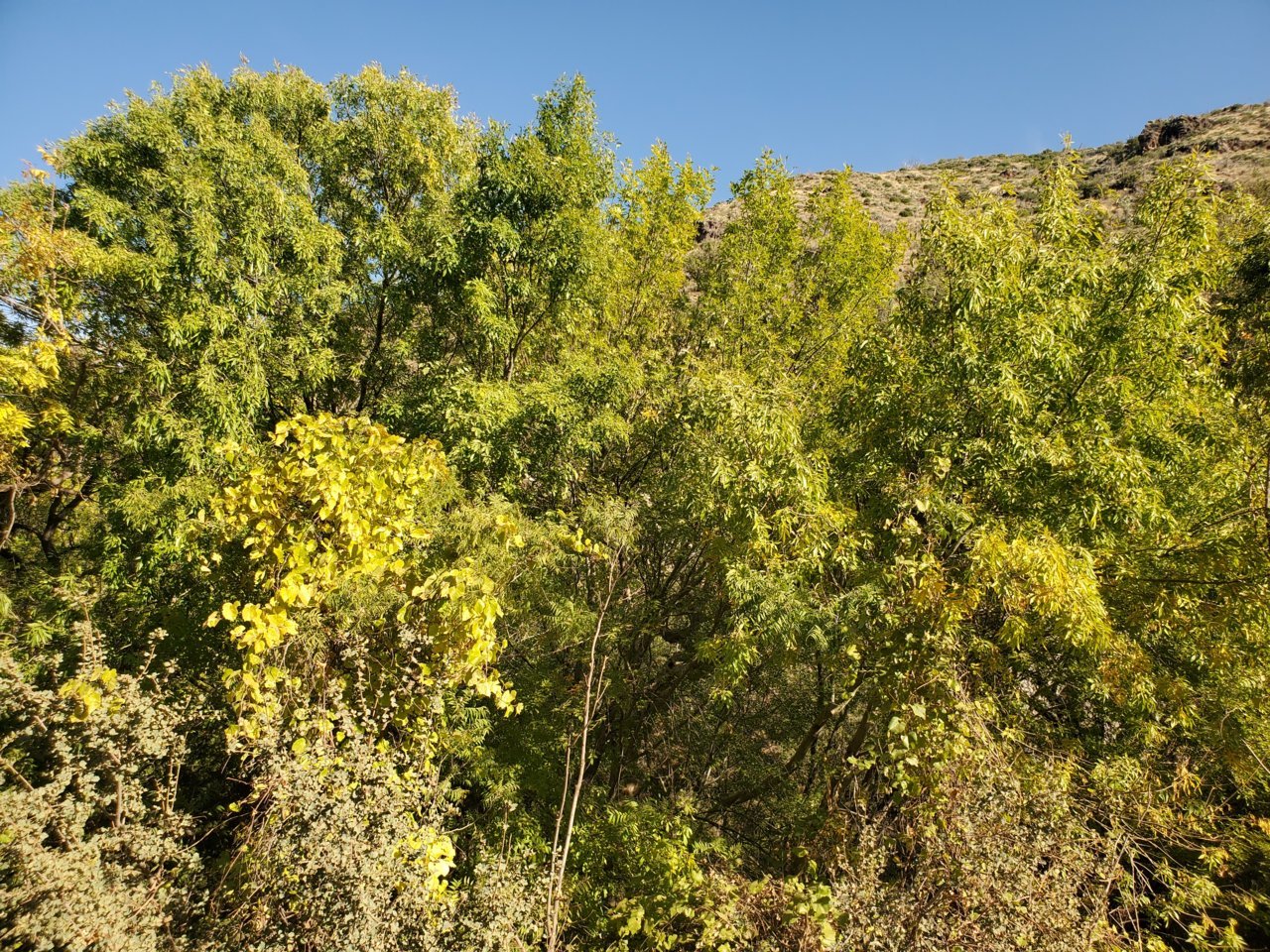 20201101_144757.jpg