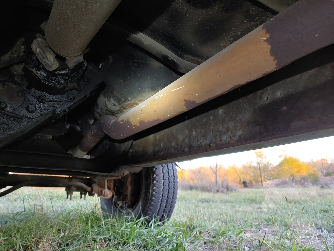 20201101_165341_HDR.jpg