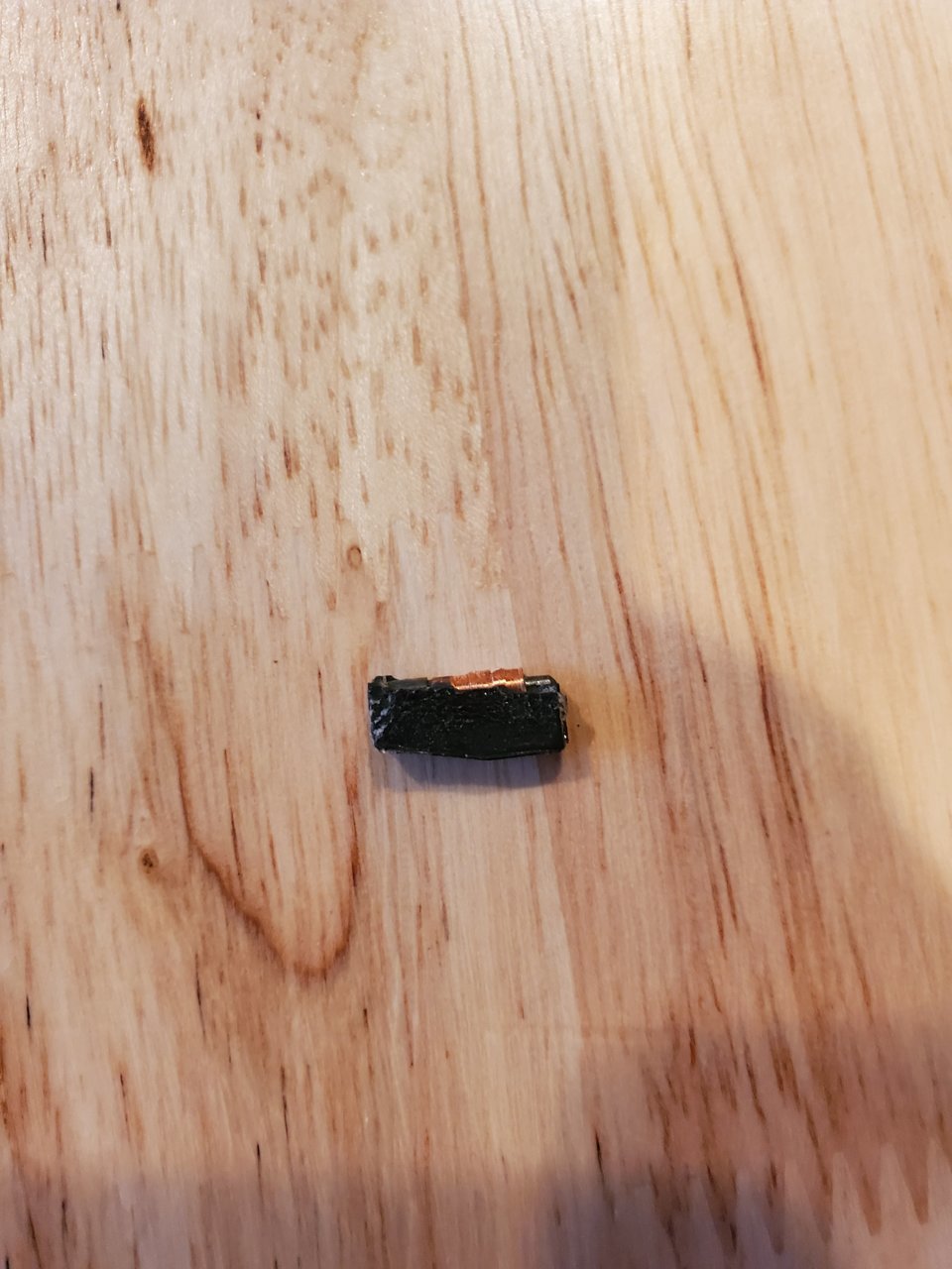20201101_170555.jpg