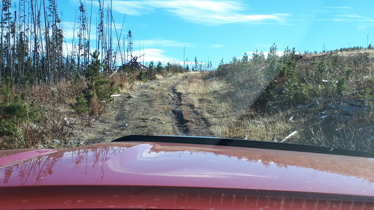 20201102_105619.jpg