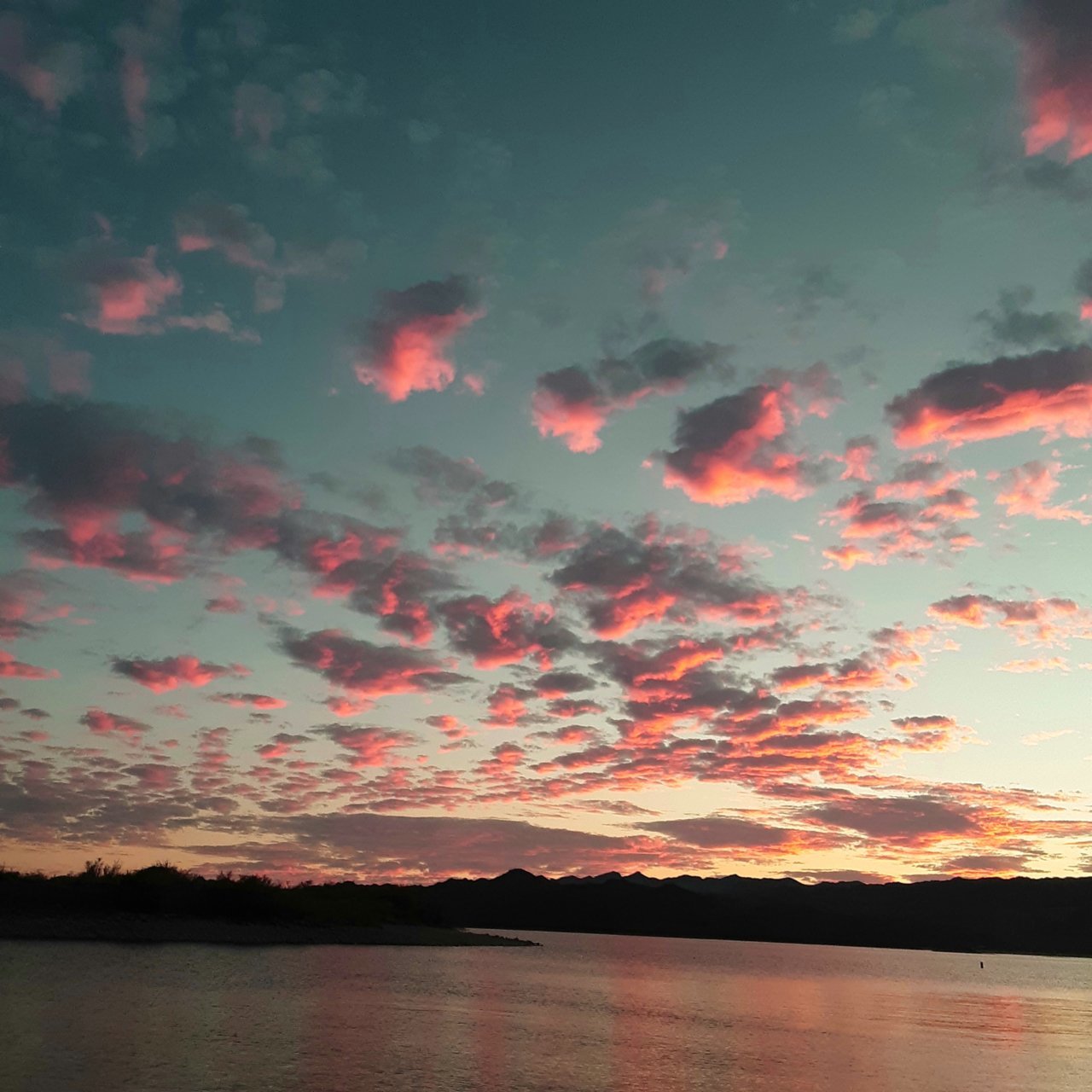 20201102_122700.jpg
