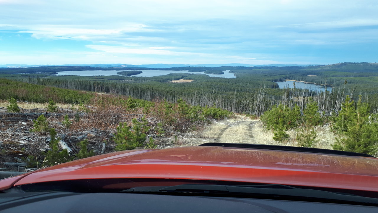 20201102_124136.jpg