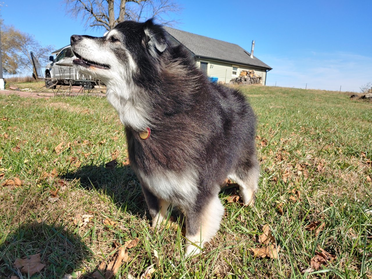 20201102_125522_HDR.jpg