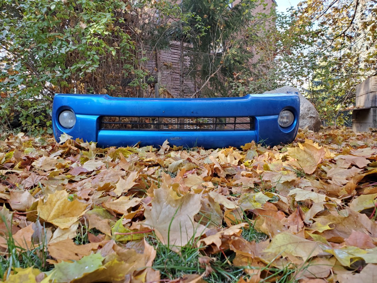 20201102_125558.jpg