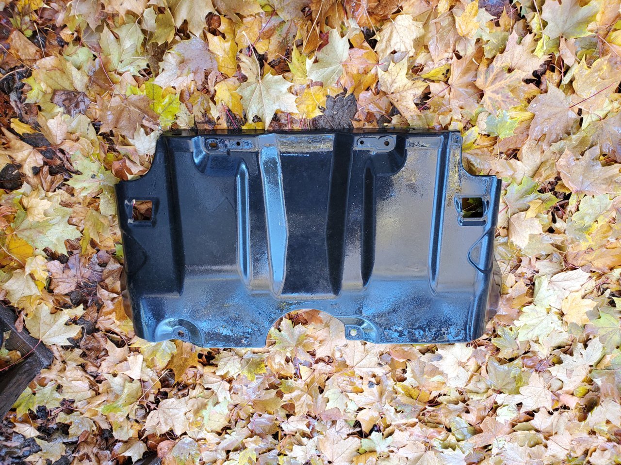 20201102_125623.jpg
