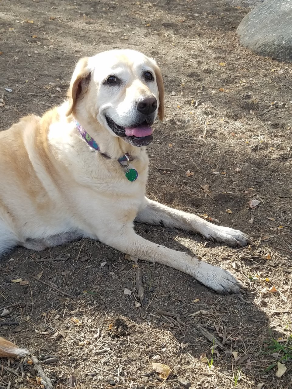 20201102_130535.jpg