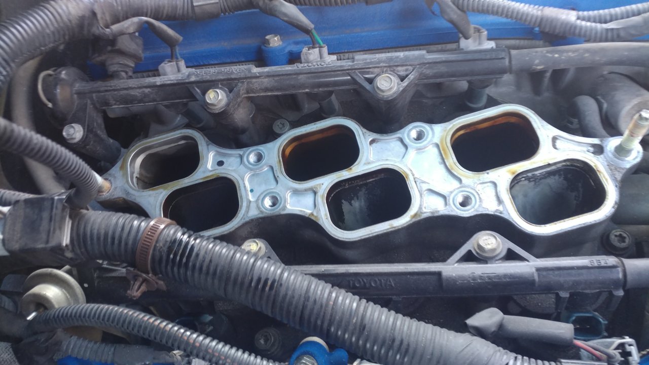 20201103_120542.jpg