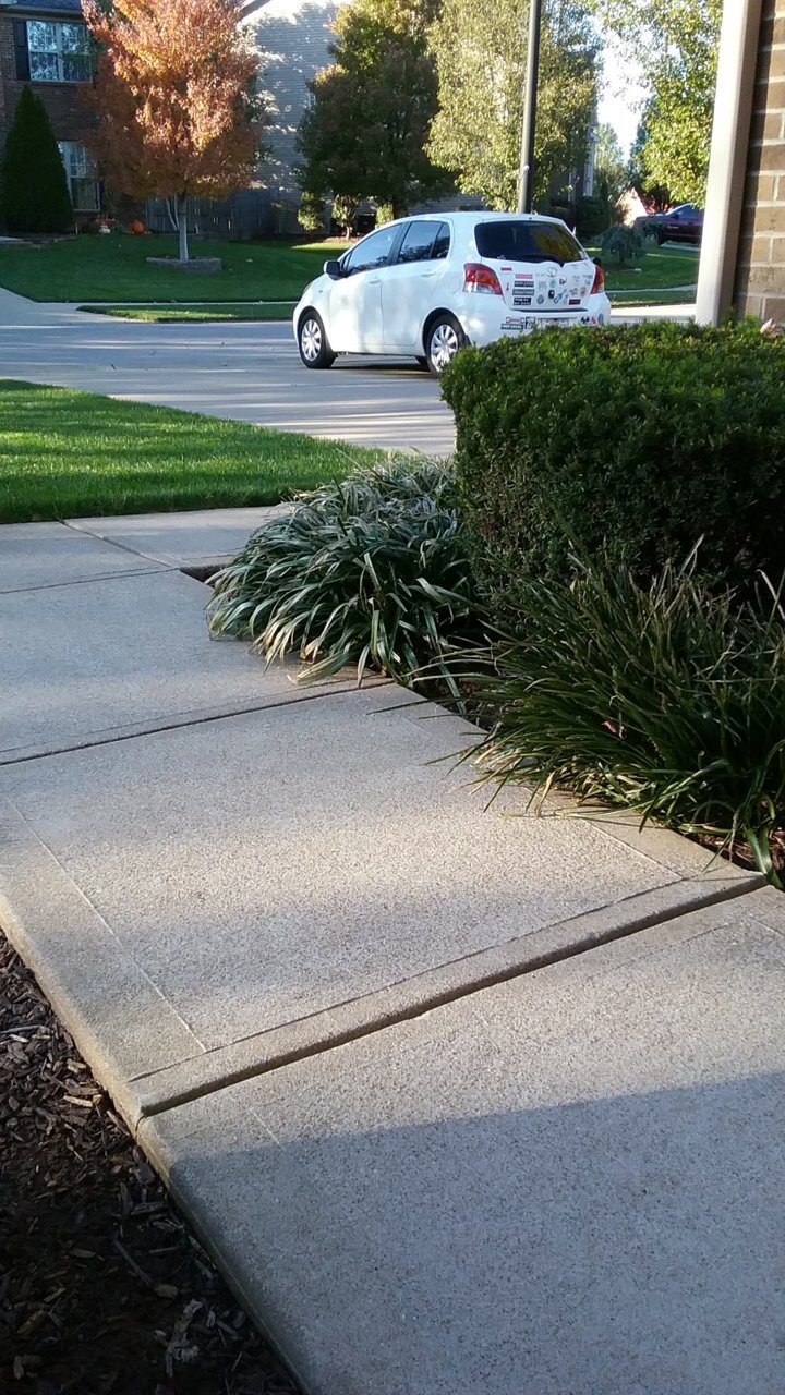 20201103_160302.jpg