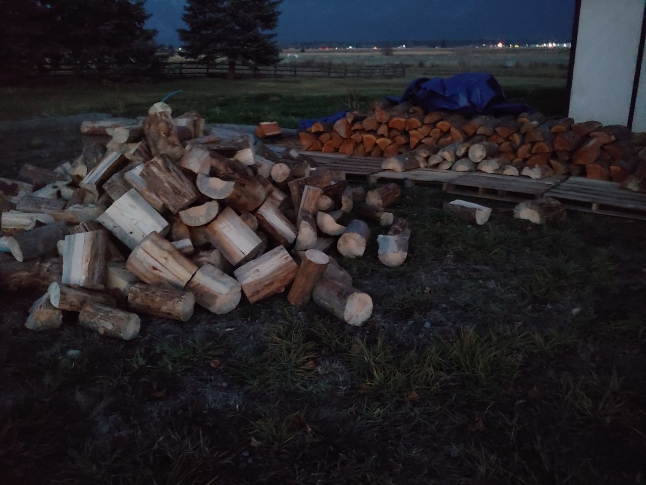20201103_174957.jpg