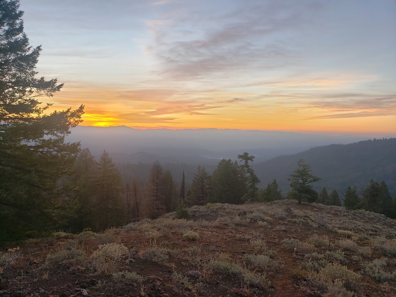 20201104_072108.jpg