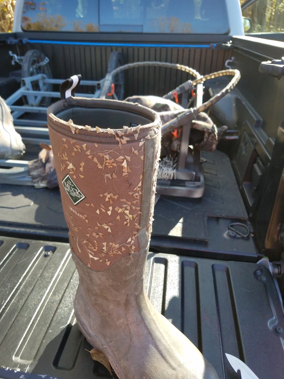 20201104_094346.jpg