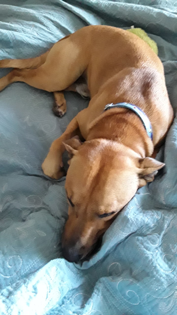 20201104_112524.jpg
