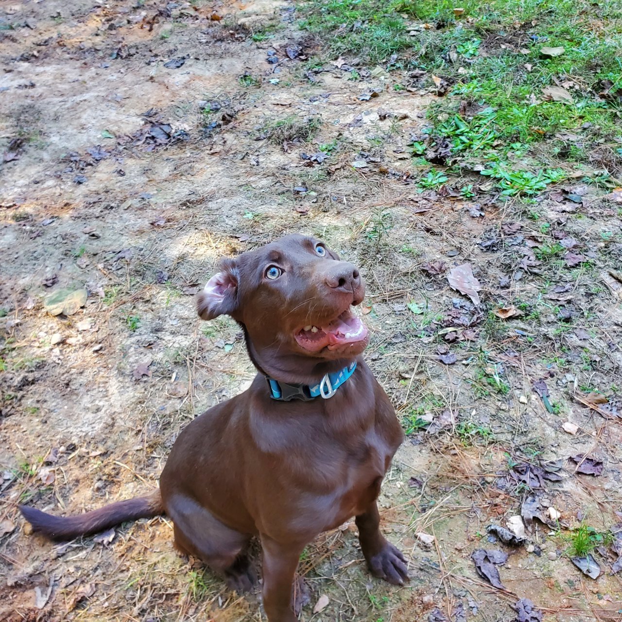 20201104_142027.jpg