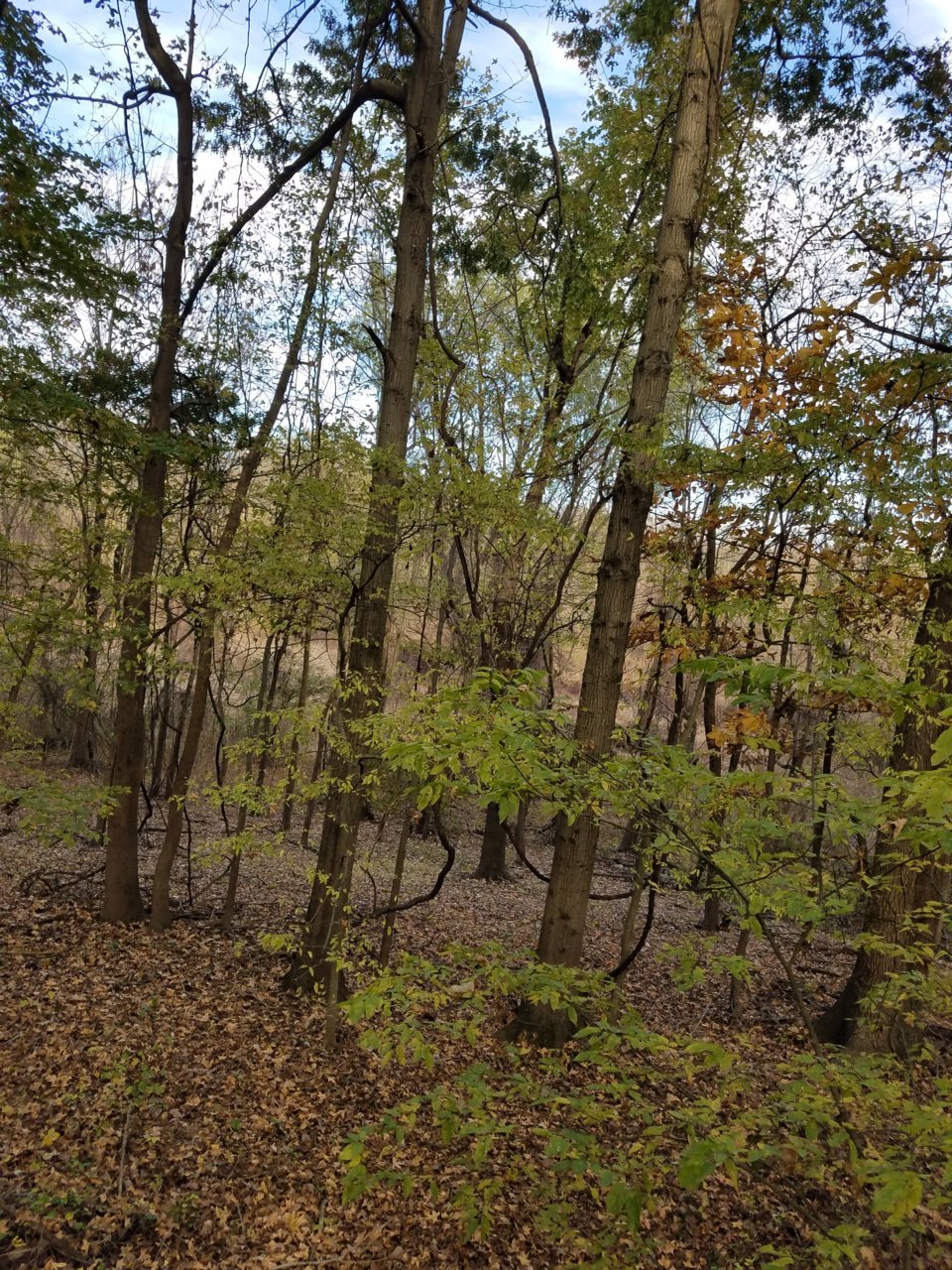 20201104_144614.jpg