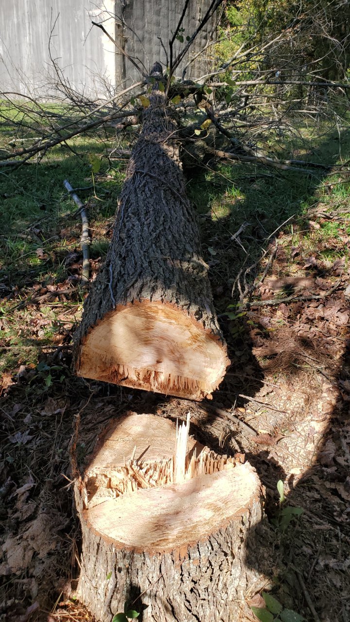 20201105_104136.jpg