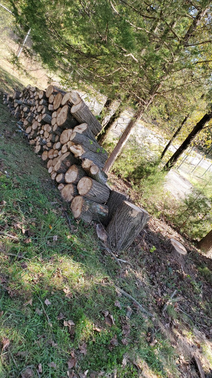 20201105_115859.jpg