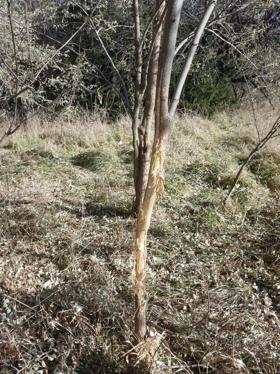 20201105_120817.jpg