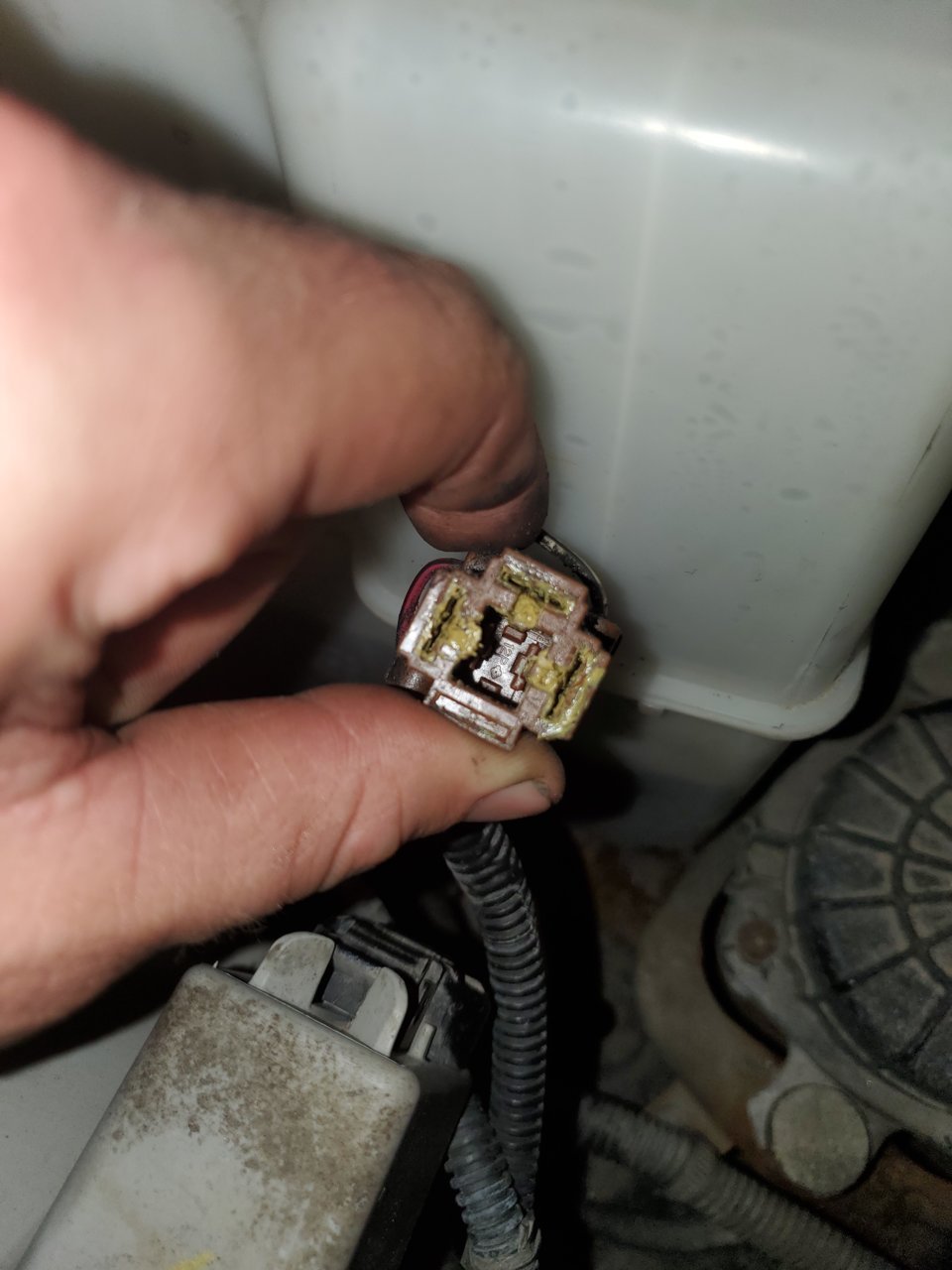 20201105_194135.jpg