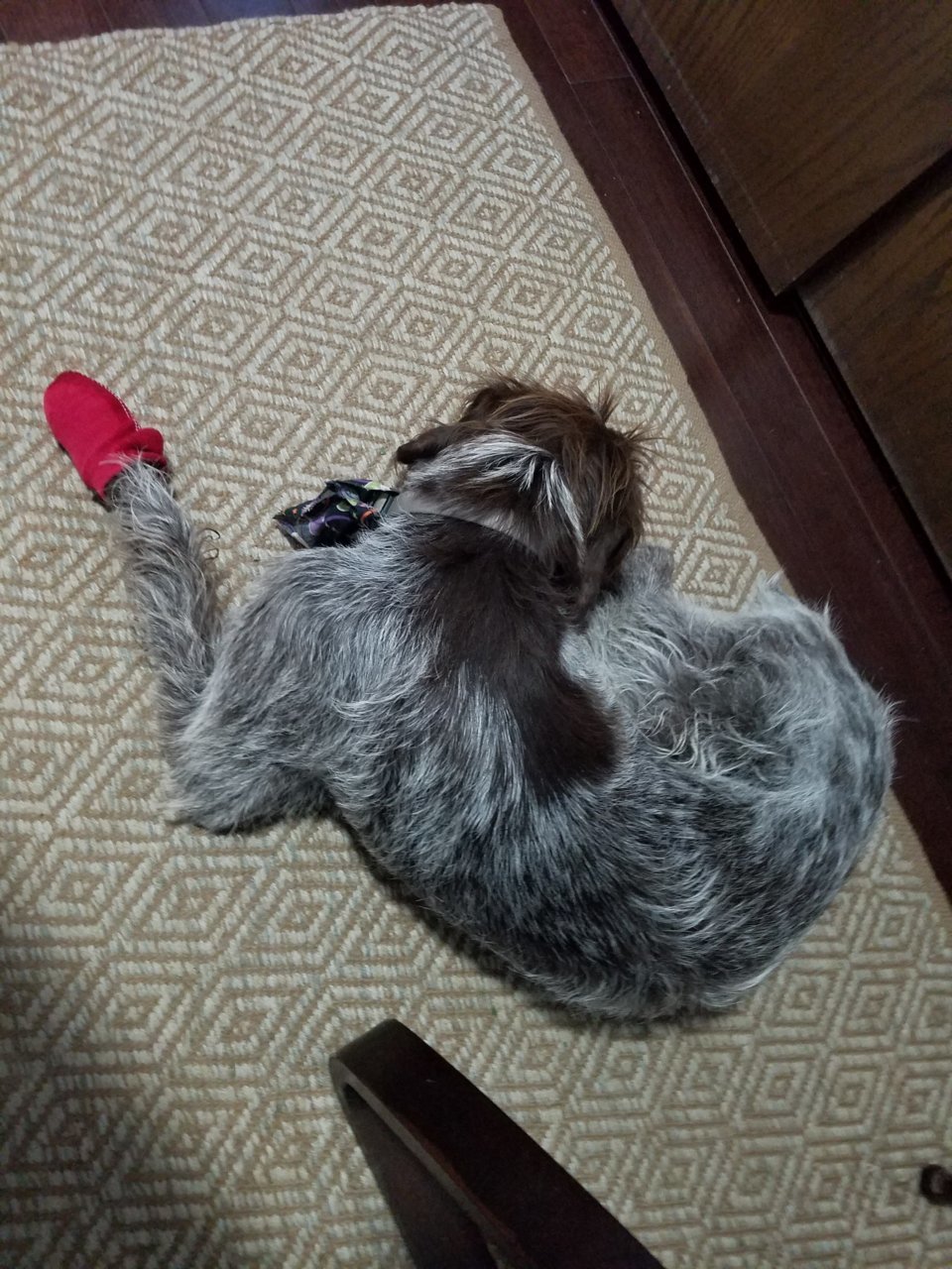 20201106_085930.jpg