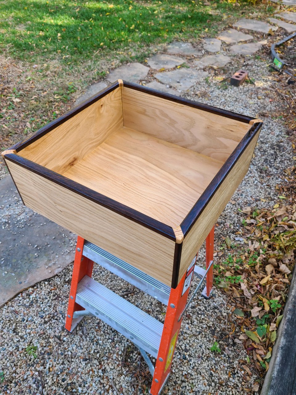 20201106_114355.jpg
