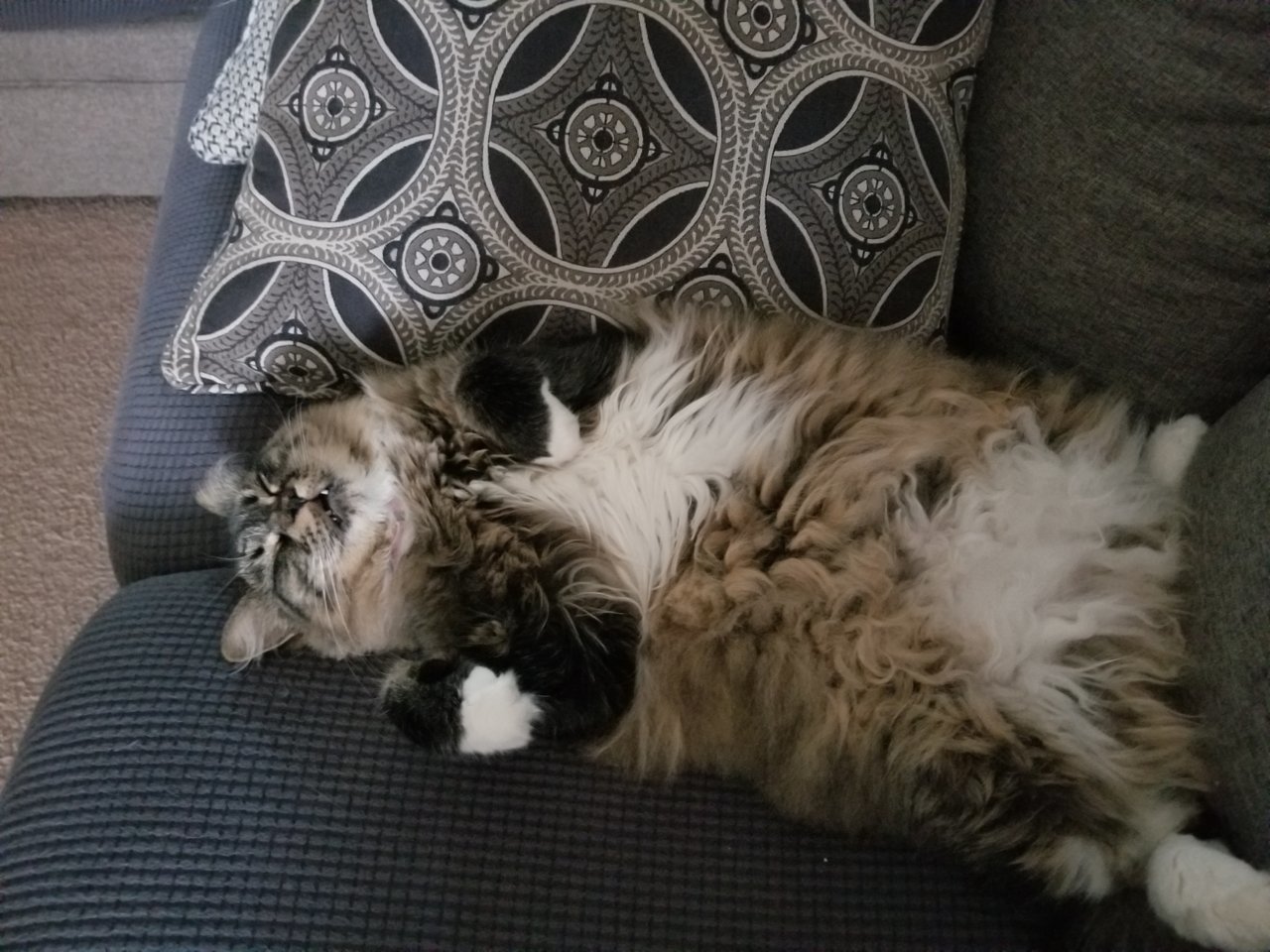 20201106_160016.jpg
