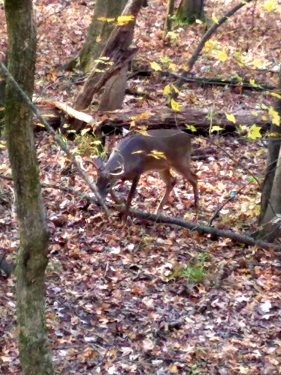 20201107_080752.jpg