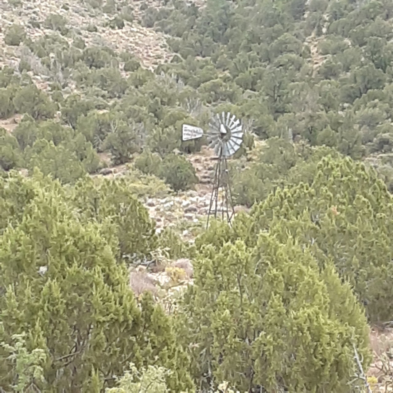 20201107_103855.jpg
