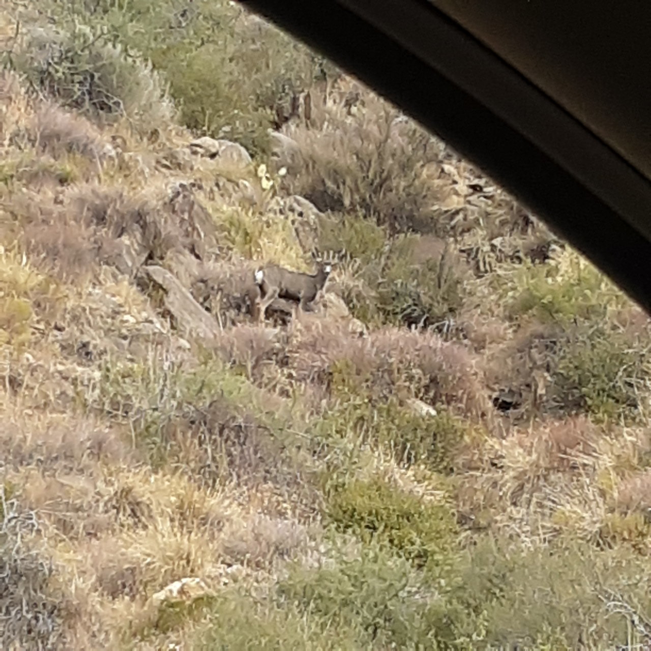 20201107_105140.jpg
