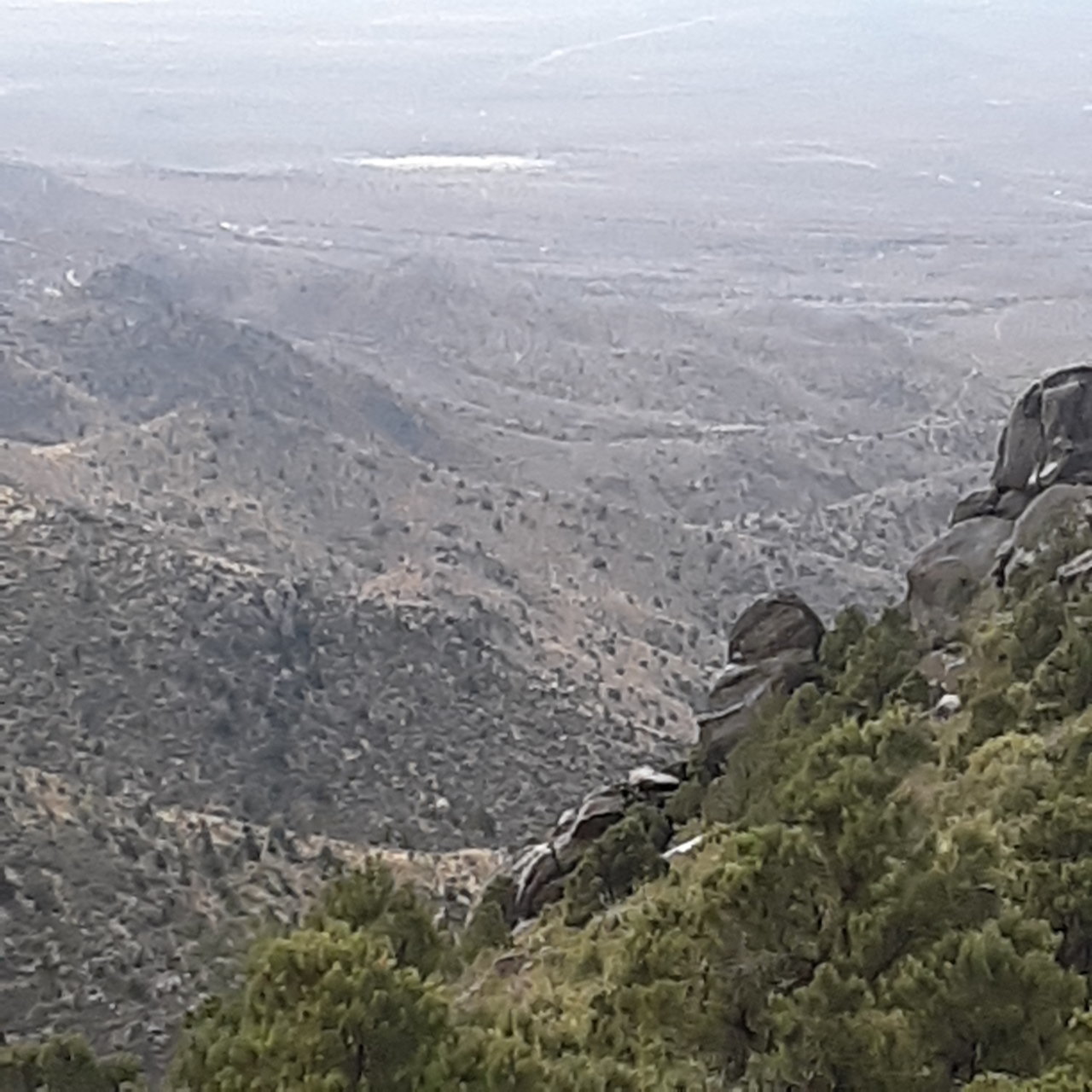 20201107_111548.jpg