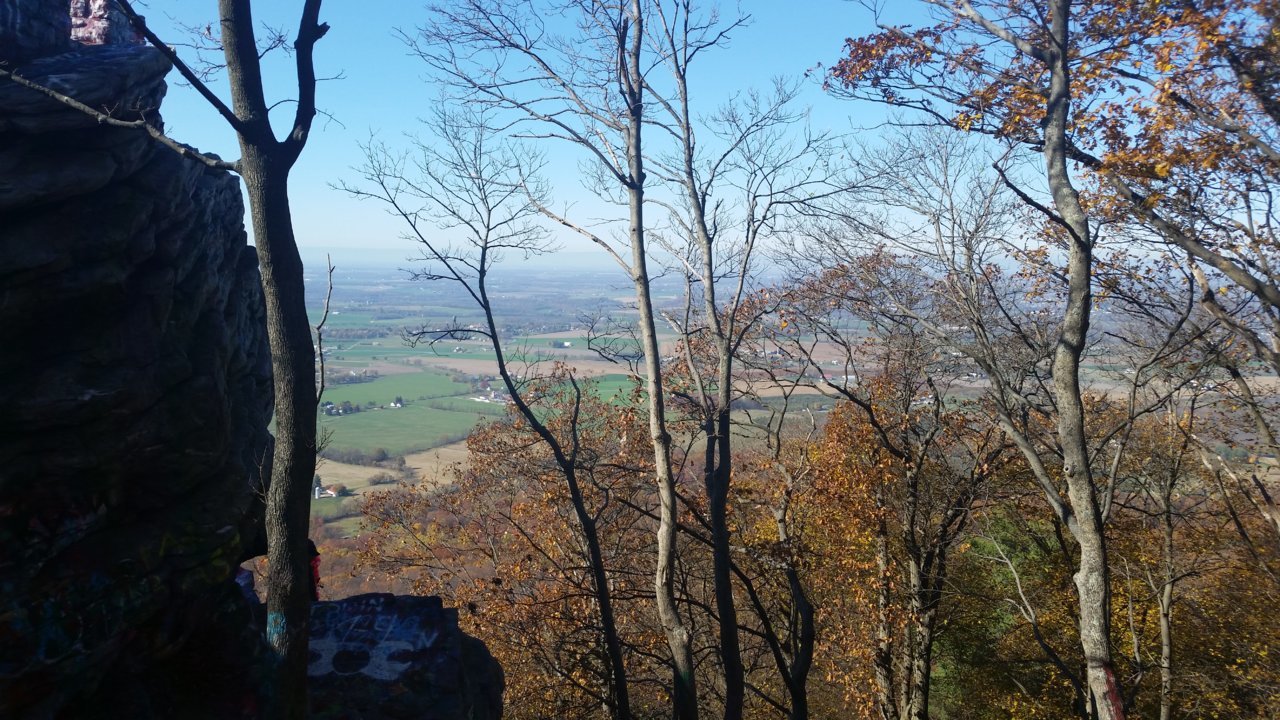 20201107_125159.jpg