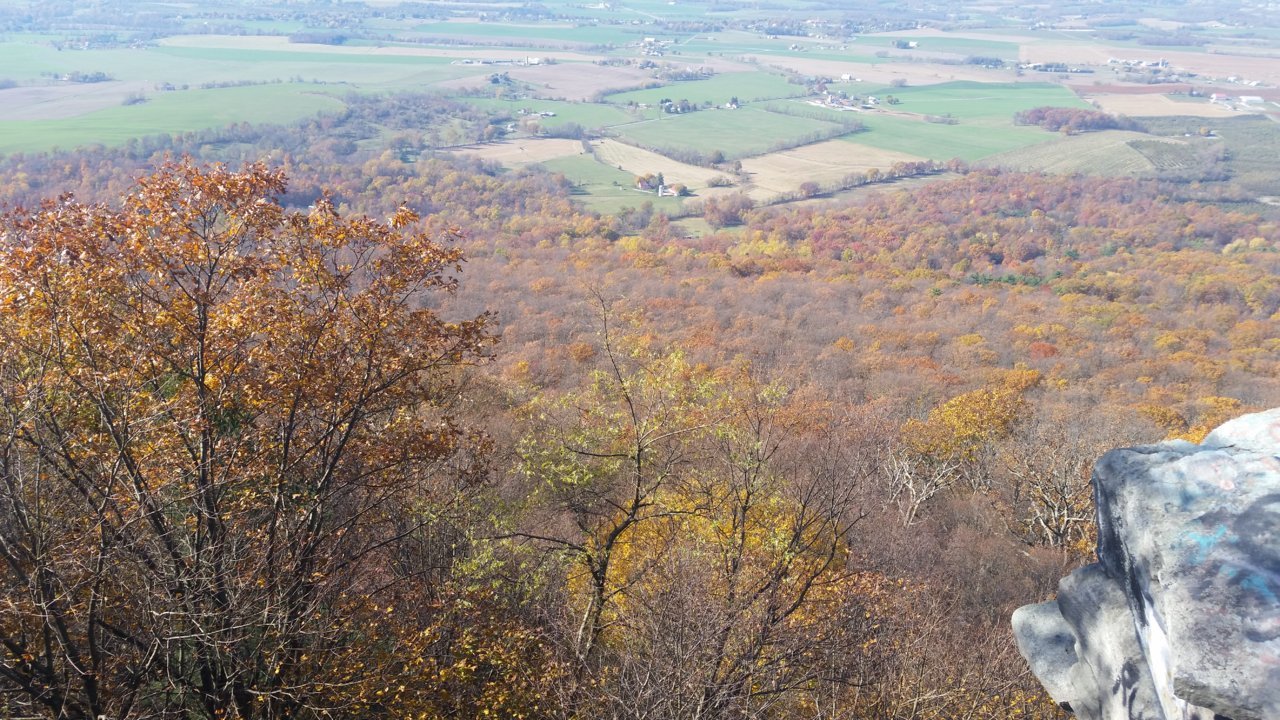 20201107_125341.jpg
