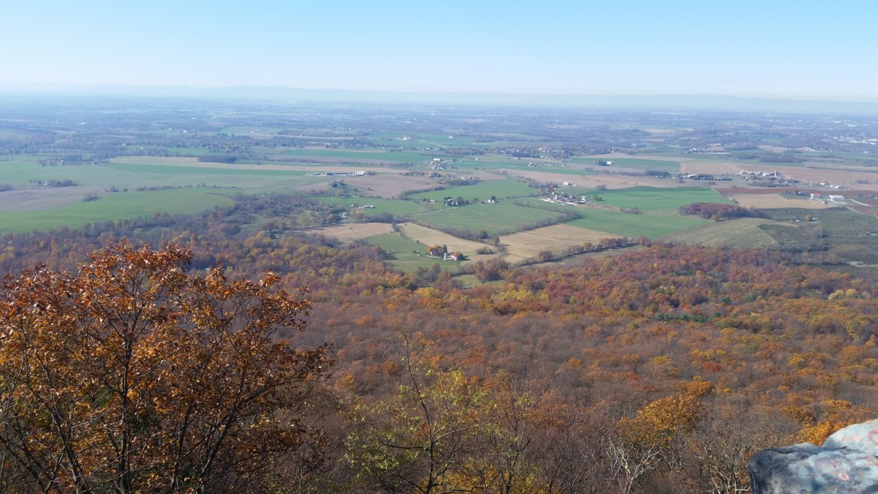 20201107_125344.jpg