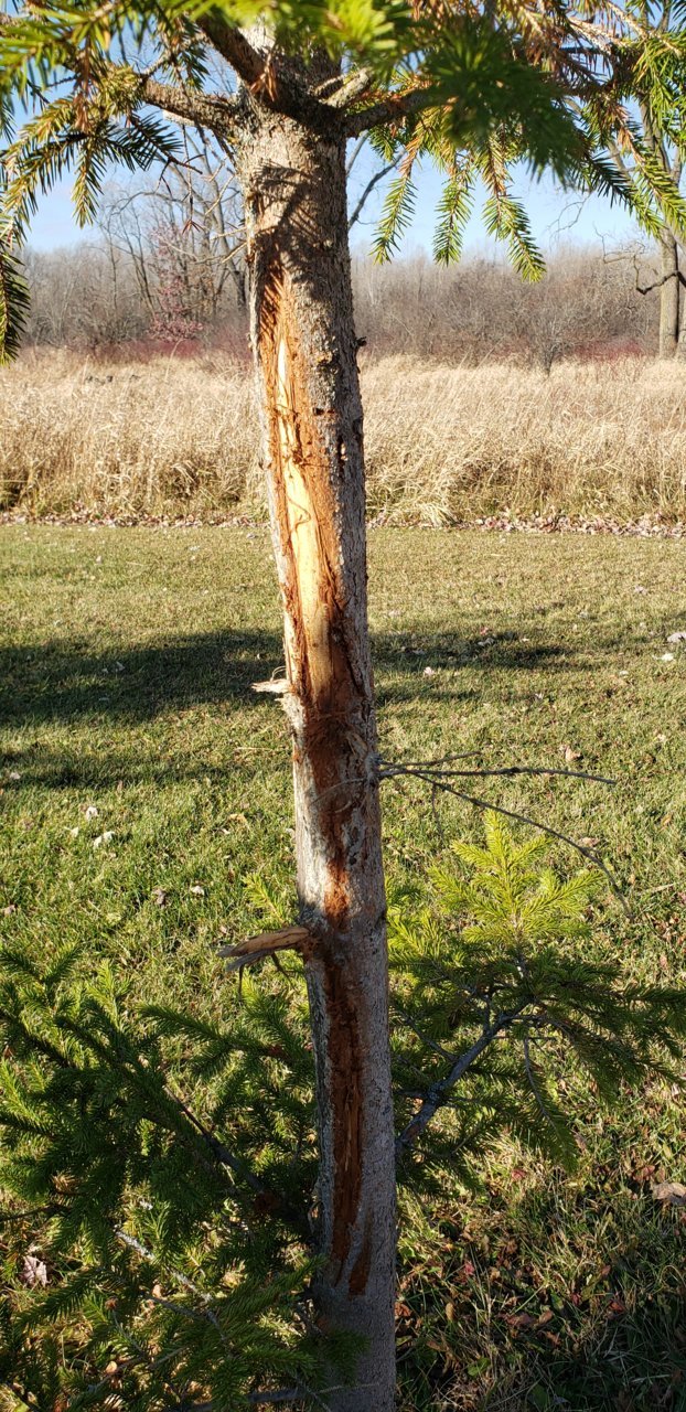 20201108_093611.jpg