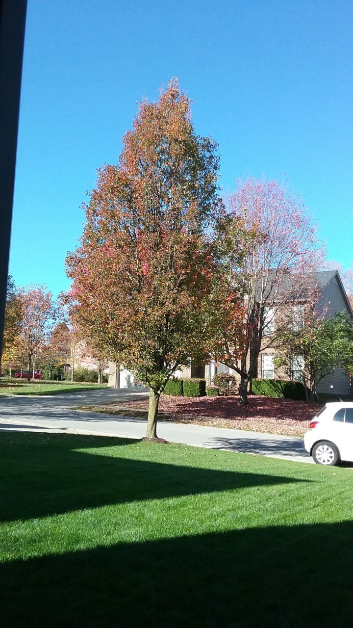20201108_102503.jpg