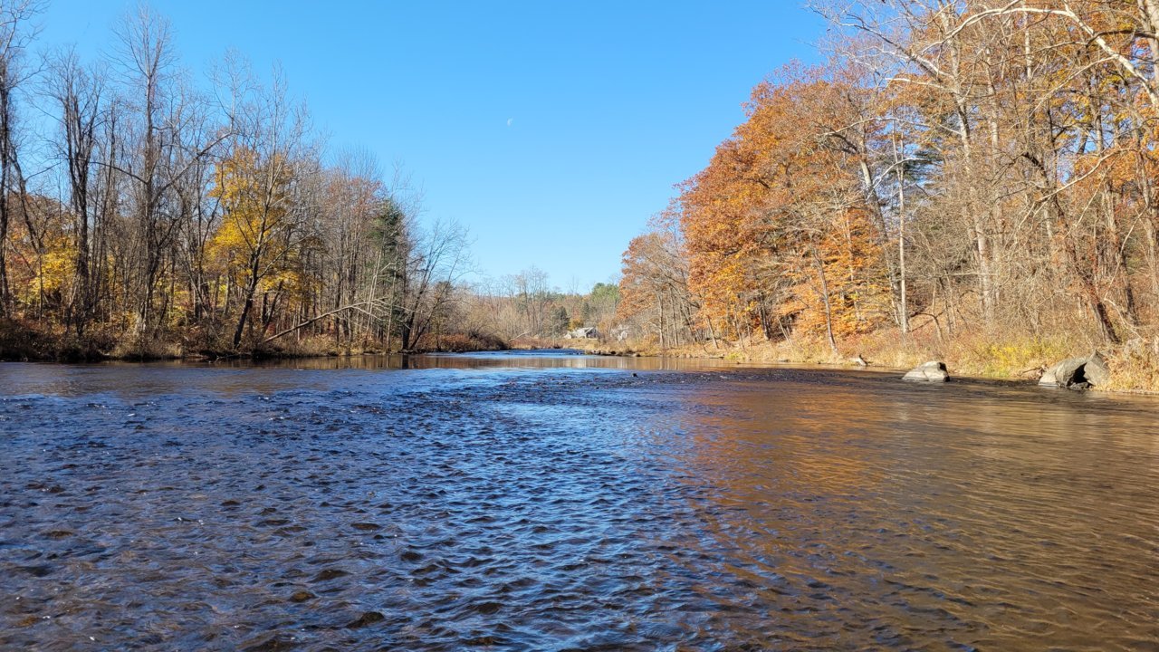 20201108_115318.jpg