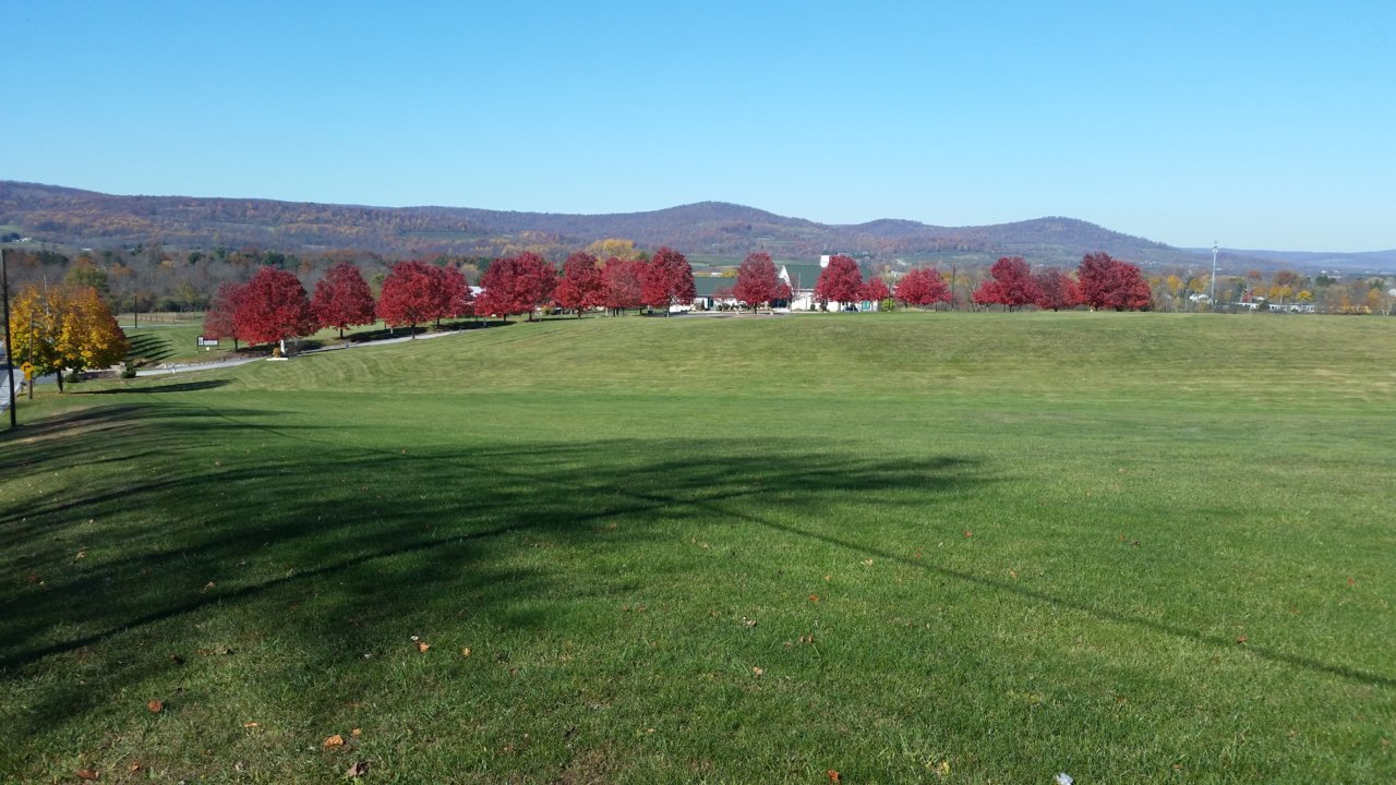 20201108_120723.jpg