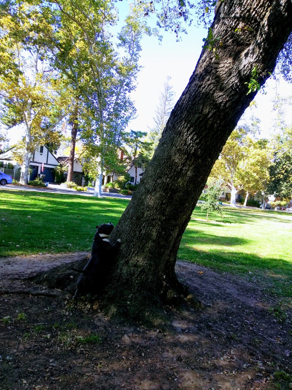 20201108_123710~2.jpg