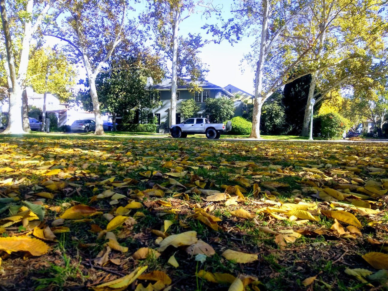20201108_124207~2.jpg