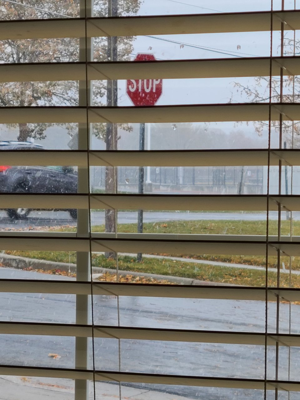 20201108_142250.jpg